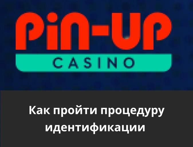 процесс верификации идентификации pin up