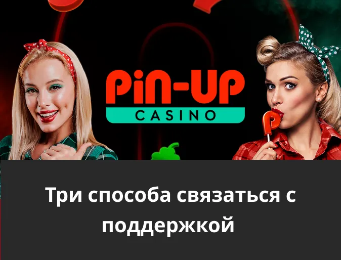 обратиться в службу поддержки pin up